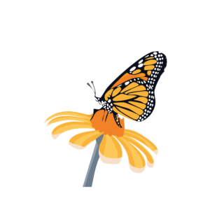 Mariposas-09