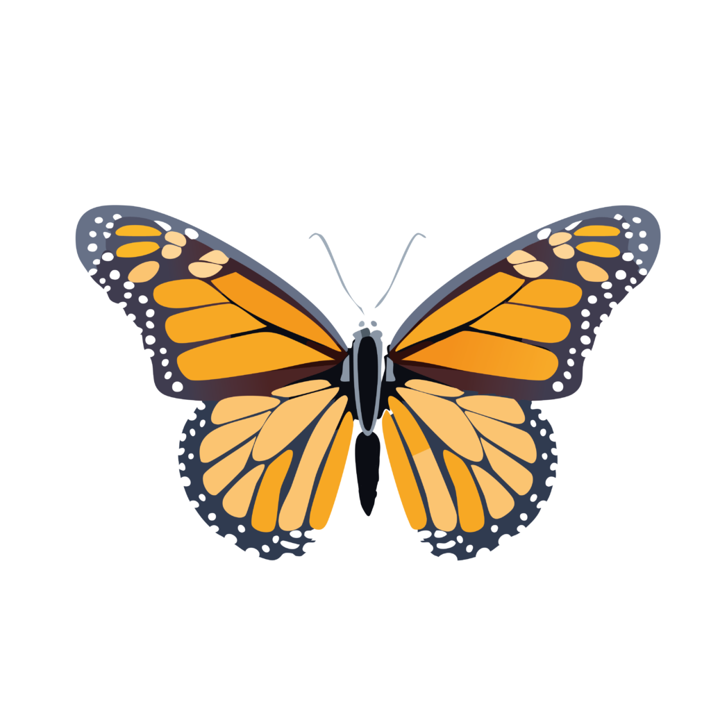 Mariposas-10